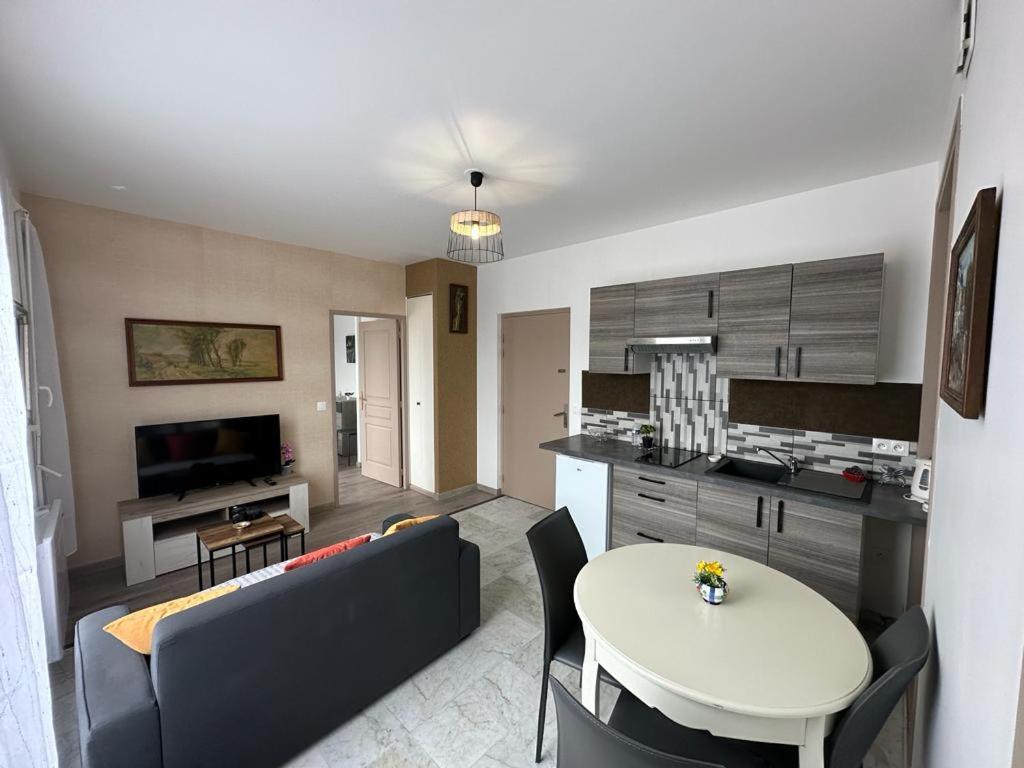 Spacious Flat Close To The Railway Station Troyes Værelse billede
